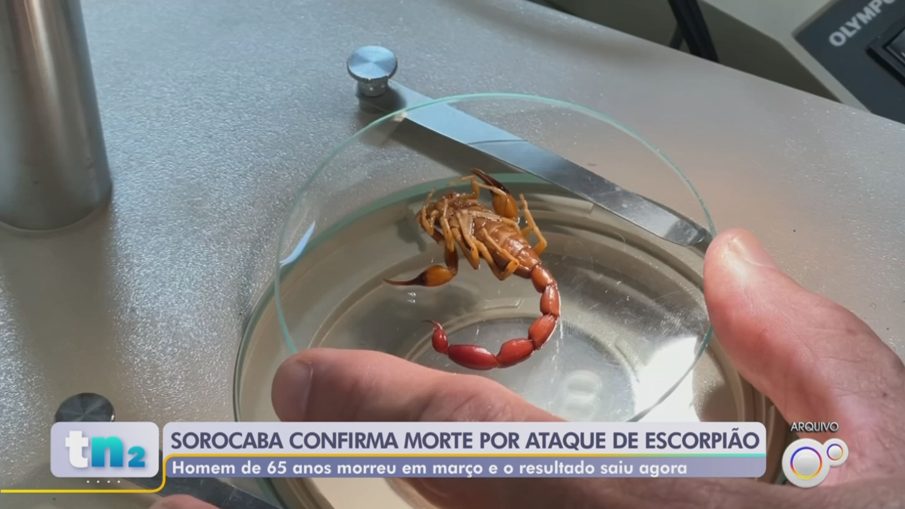 foto Not&iacute;cia Sorocaba